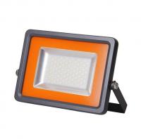 Прожектор светодиодный PFL-S2-SMD 100Вт 6500К IP65 матов. стекло JazzWay 2853325С