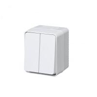 Выключатель 2-кл. ОП AtlasDesign PROFI IP54 10AX бел. SE ATN540151