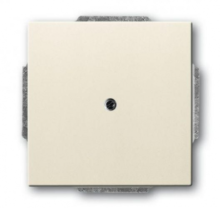 Заглушка с суппортом сл. кость ABB 2CKA001715A0313